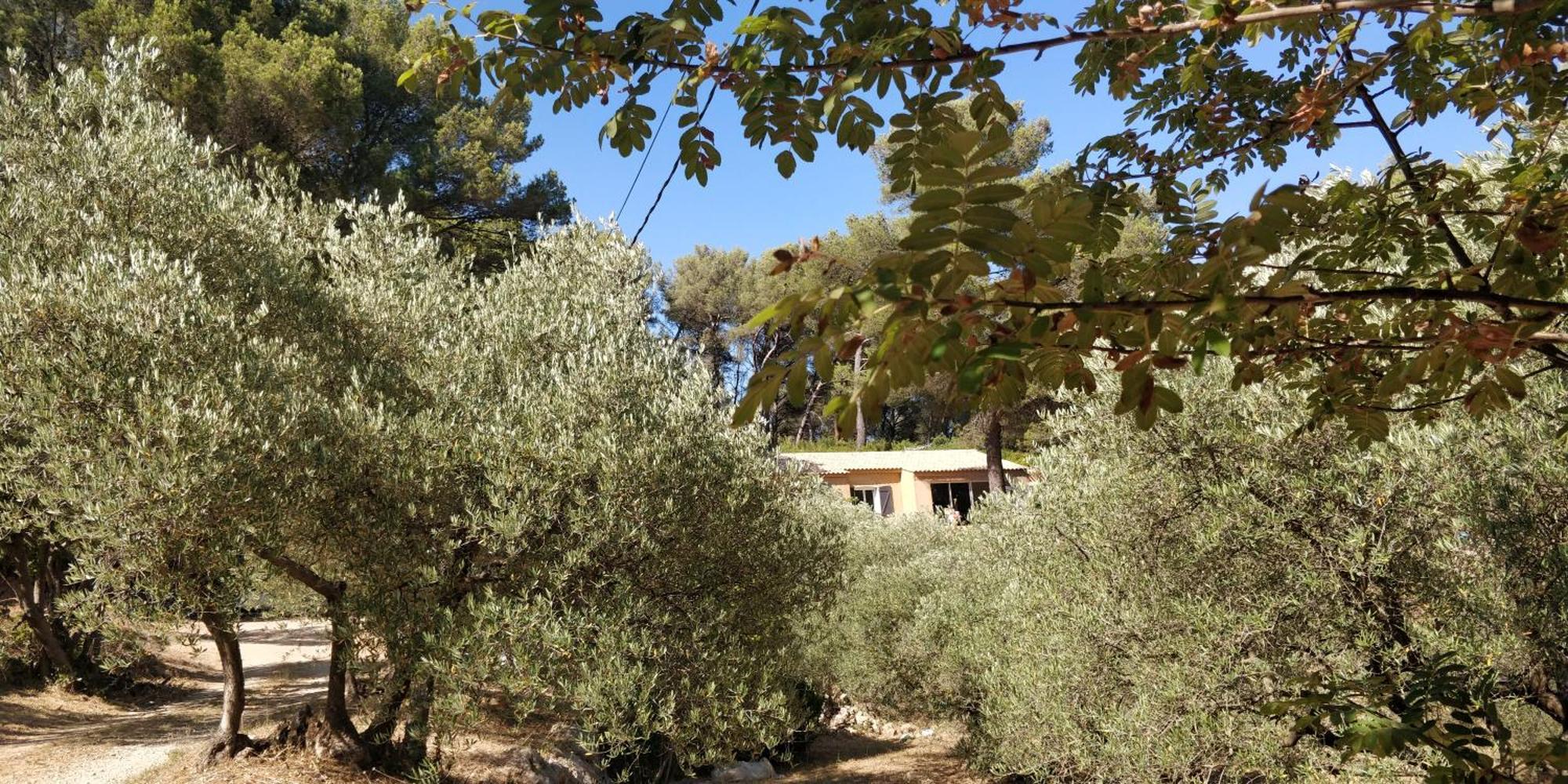 Villa Cigalons En Pleine Pinede Avec Piscine Chauffee De Mai A Septembre Auriol Exteriör bild