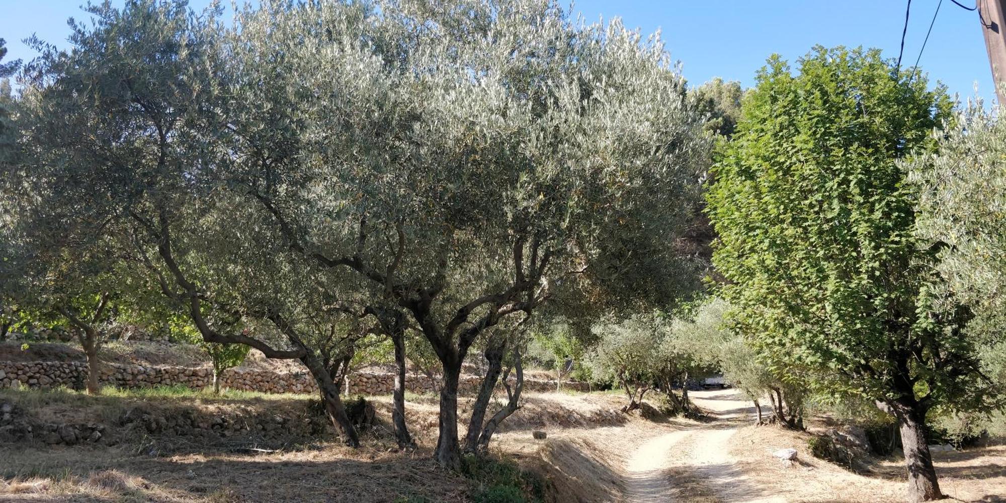 Villa Cigalons En Pleine Pinede Avec Piscine Chauffee De Mai A Septembre Auriol Exteriör bild
