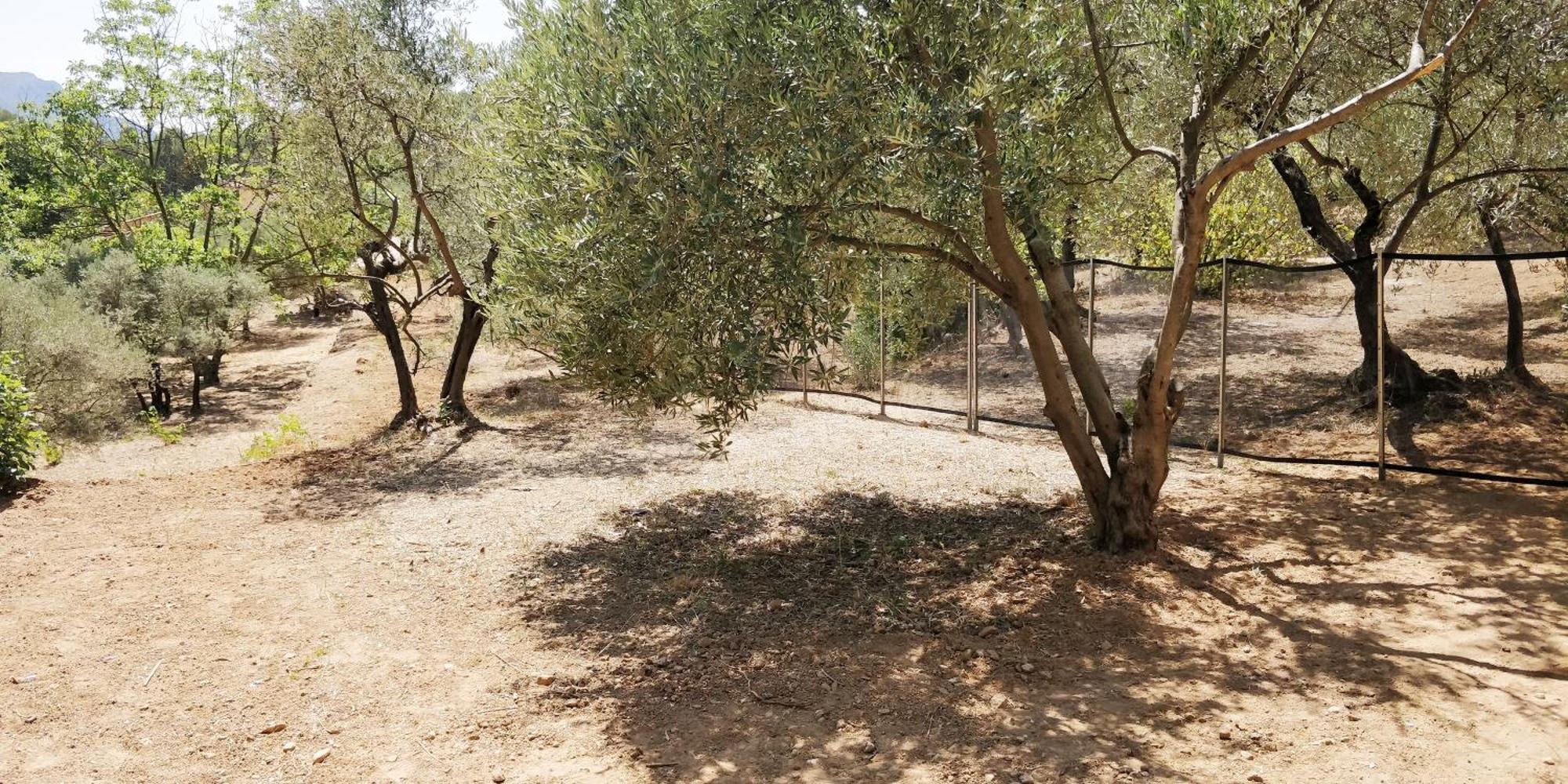 Villa Cigalons En Pleine Pinede Avec Piscine Chauffee De Mai A Septembre Auriol Exteriör bild