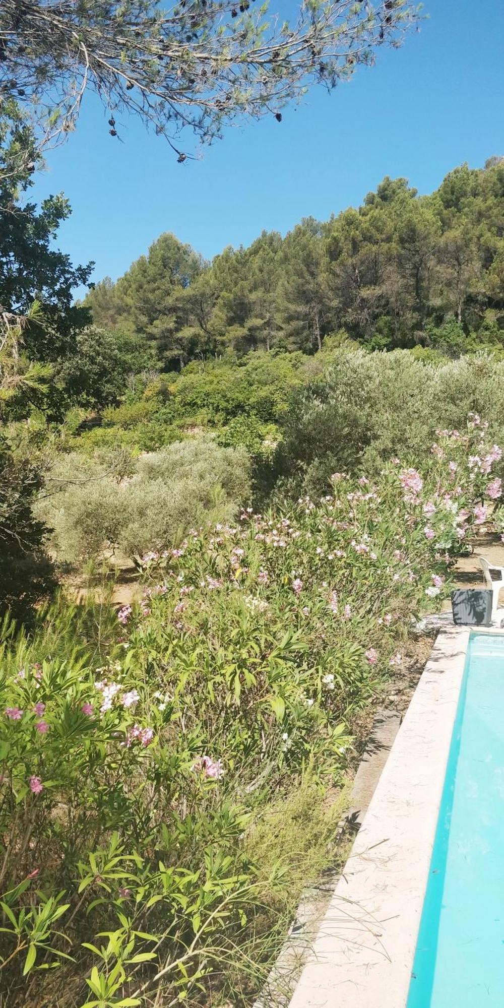 Villa Cigalons En Pleine Pinede Avec Piscine Chauffee De Mai A Septembre Auriol Exteriör bild