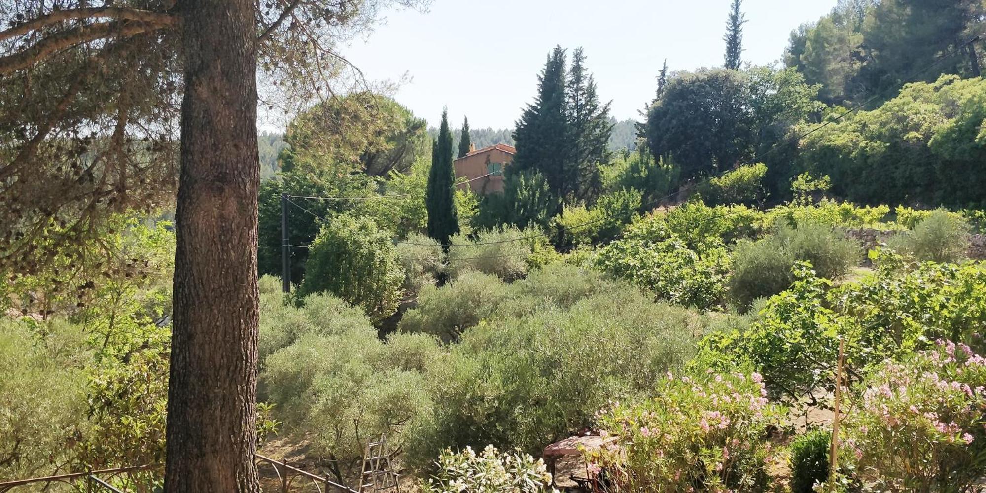Villa Cigalons En Pleine Pinede Avec Piscine Chauffee De Mai A Septembre Auriol Exteriör bild