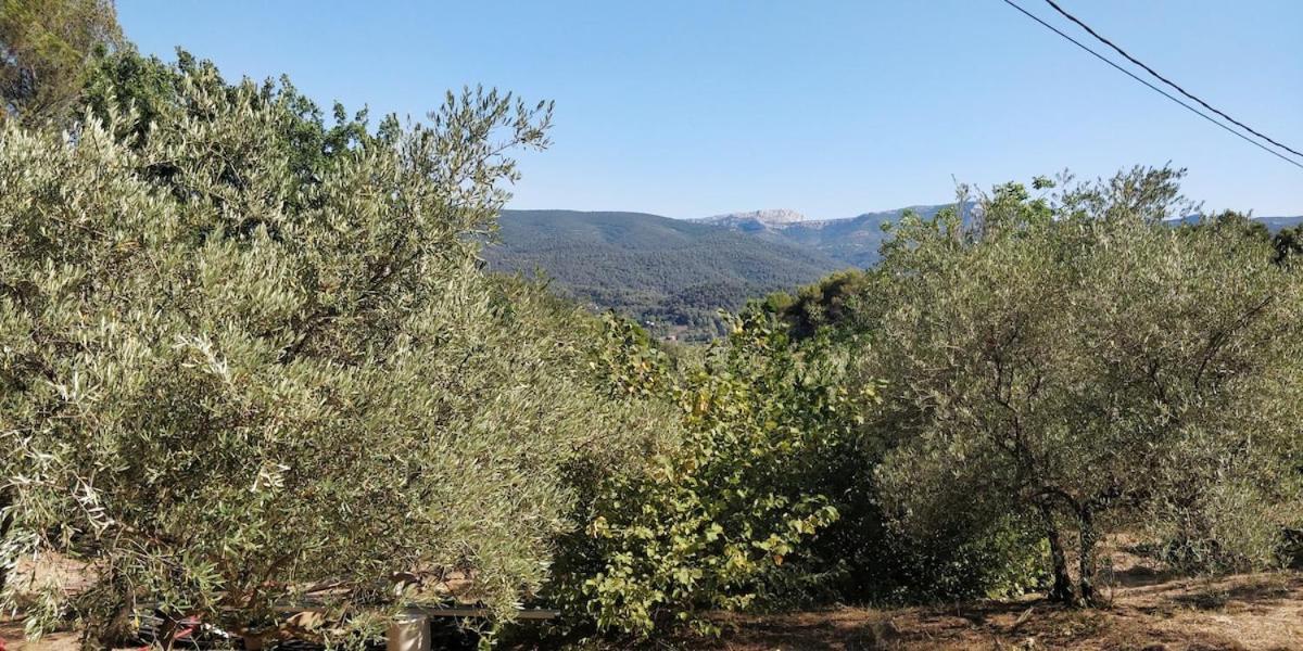 Villa Cigalons En Pleine Pinede Avec Piscine Chauffee De Mai A Septembre Auriol Exteriör bild